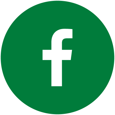 facebook F icon