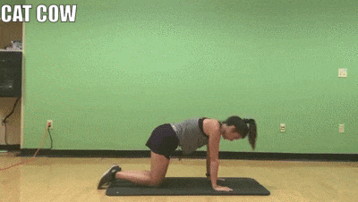 woman demonstrating cat cow
