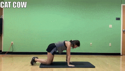 woman demonstrating cat cow