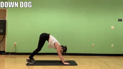woman demonstrating down dog