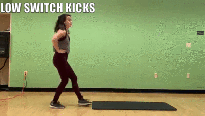 woman demonstrating low switch kicks