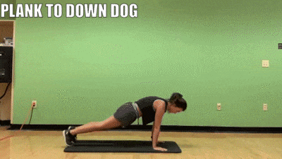 female demonstrating plank to down dog