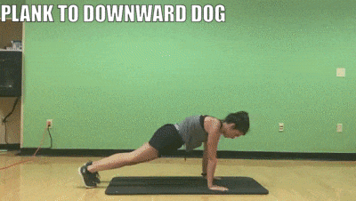 woman demonstrating plank to downward dog