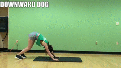 woman demonstrating downward dog