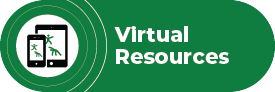 virtual resources
